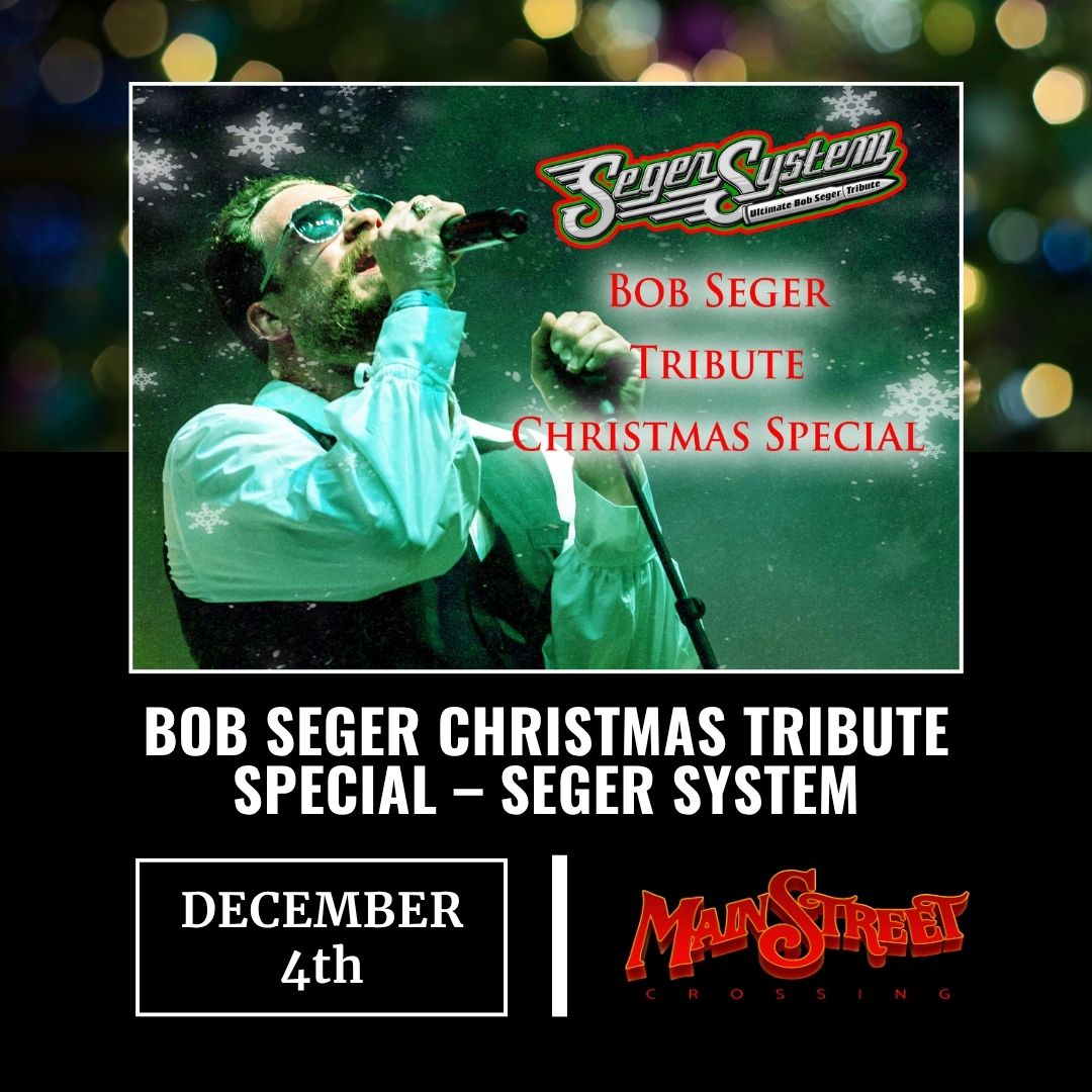 SegerSystemChristmasMSCGraphic (1)